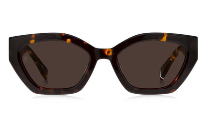 Tommy Hilfiger Lentes de Sol, Marco Habana — Dama