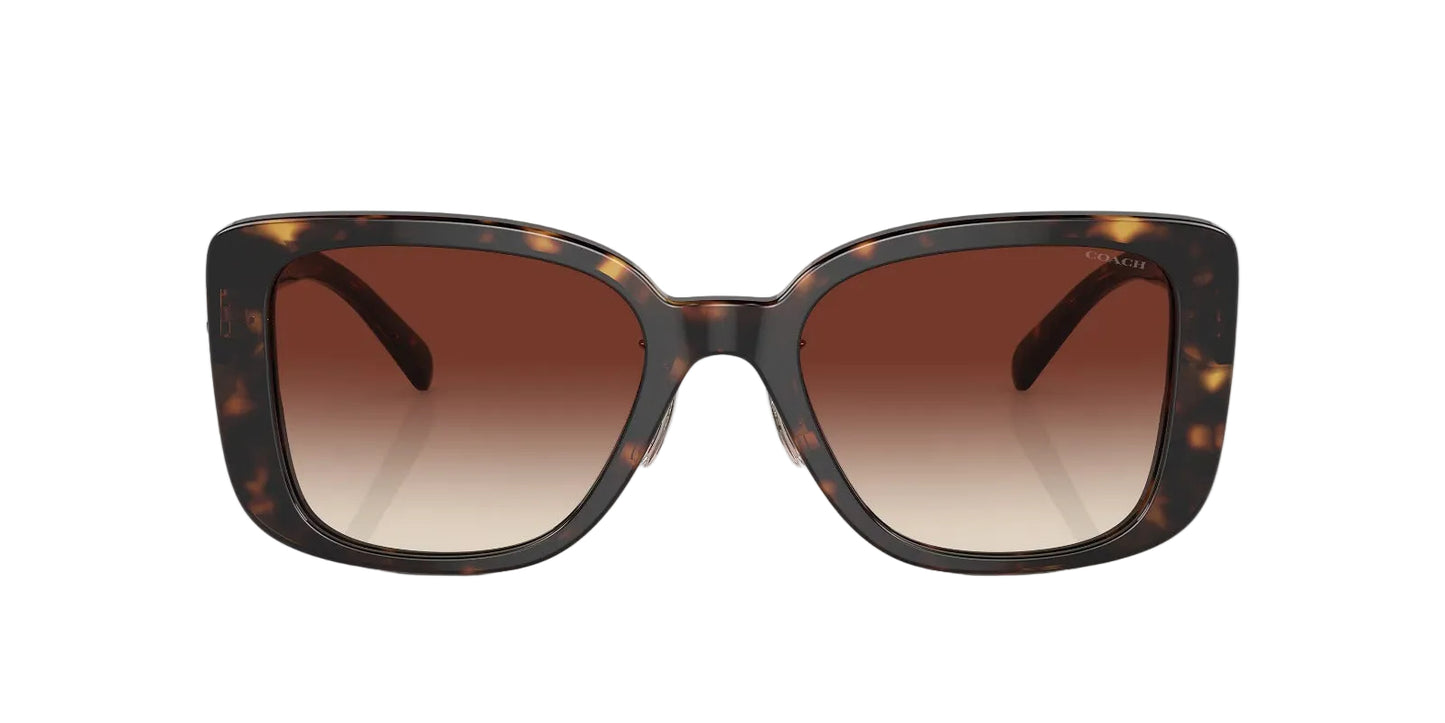 Coach Lentes de Sol, Marco Carey — Dama