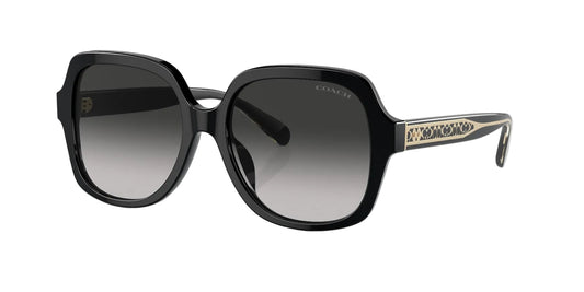 Lentes 0HC8395U (CR614)