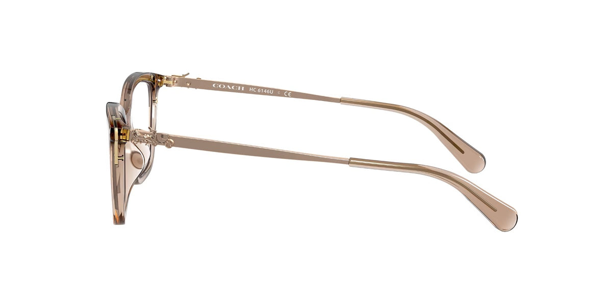 Coach Armazón Cat-Eye Marrón Transparente, Detalles Dorado — Dama