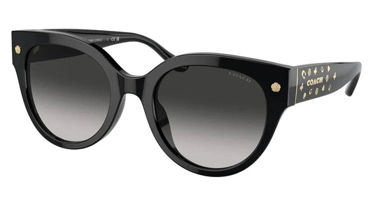 Coach Lentes de Sol, Negro / Íconos Dorados — Dama